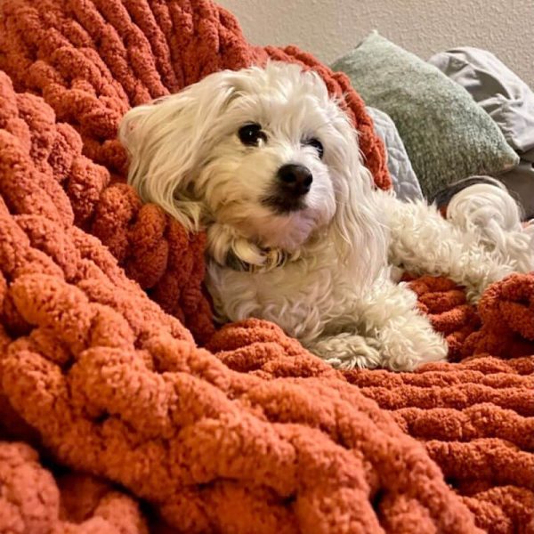 Handmade Chunky Knit Blanket